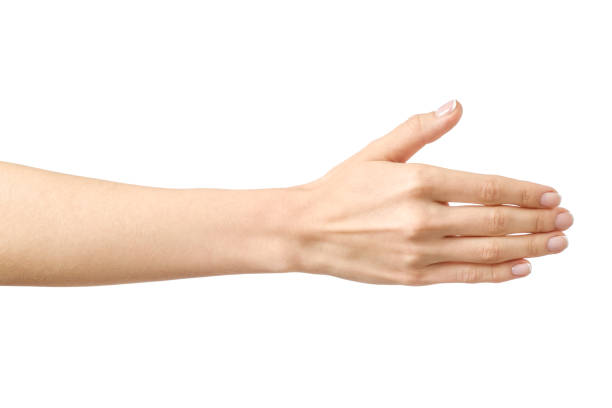 istock Woman's hand ready for handshaking isolated on white 835288166