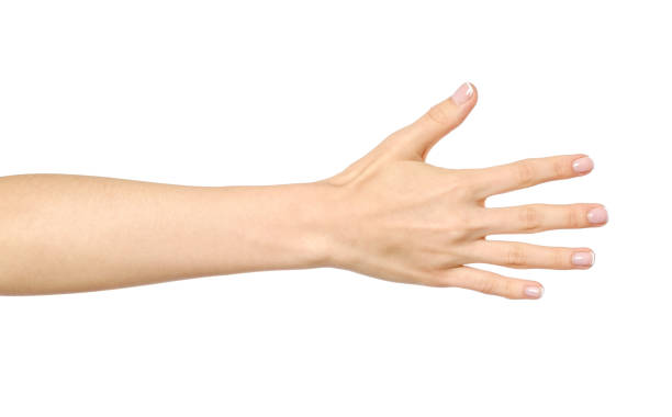istock Woman's stretched hand with open palm isolated on white 835288200