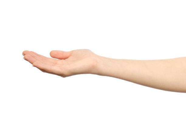 istock Woman's stretched hand with open palm isolated on white 835288240