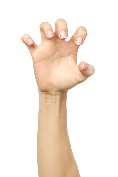 Female hand reaching for something isolated on white