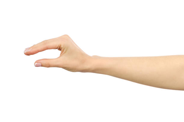 istock Woman's hand grabbing or measuring something isolated on white 835288256