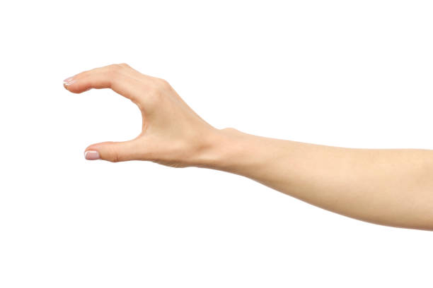 istock Woman's hand grabbing or measuring something isolated on white 835288270