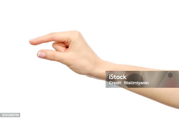 Hand Showing Size Gesture Isolated On White Stock Photo - Download Image Now - Hand, Small, Finger