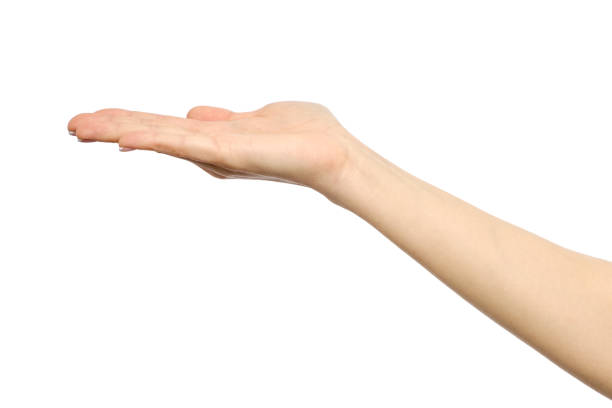 istock Woman's stretched hand with open palm isolated on white 835288374