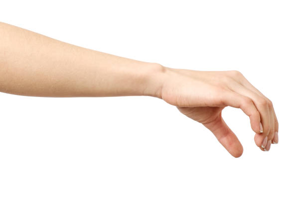 istock Woman's hand grabbing or measuring something isolated on white 835288382