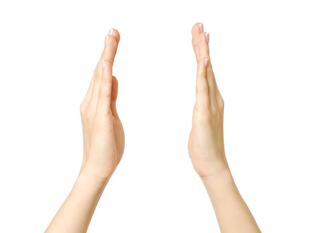 istock Female hands measuring something isolated on white 835288498