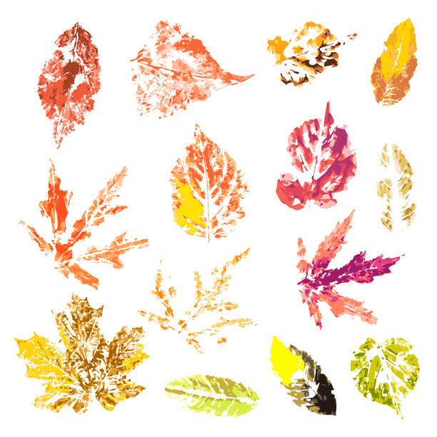 istock Unique autumn leaves set. Autumn leaves prints on a white background 835294190