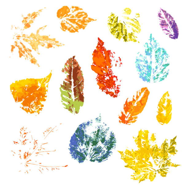 istock Unique autumn leaves set. Autumn leaves prints on a white background 835294192
