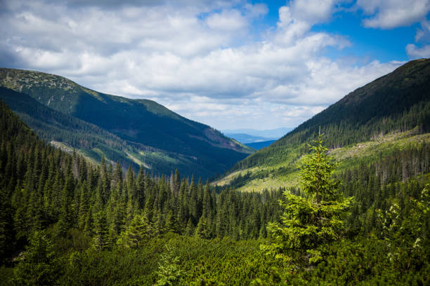 istock A beautiful mountain landscape in Tatry, Slovakia 835309398