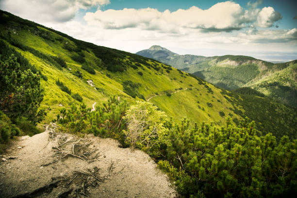 istock A beautiful mountain landscape in Tatry, Slovakia 835317818