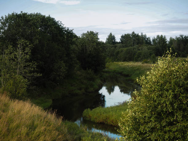 istock Beautiful summer landscape - river, field, trees. Blue sky 835319710