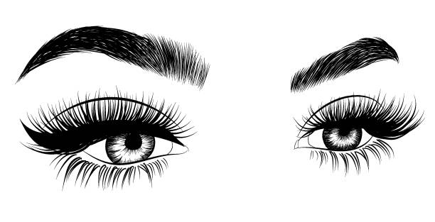 Fresh woman's eyes Female eyes. Vector illustration. eyelash stock illustrations