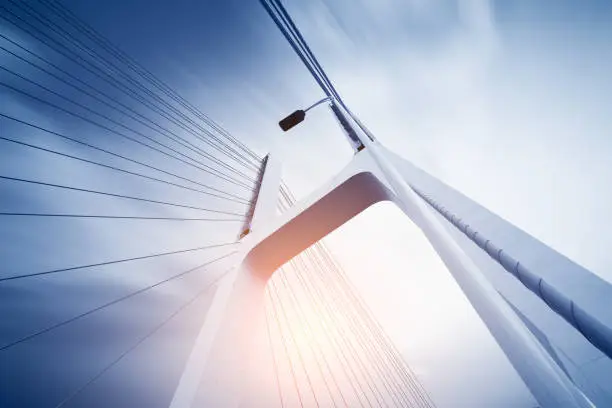 Photo of Modern bridge cables, twilight landscape.