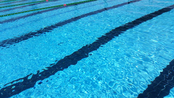 istock blue swimming pool background, with black lane 835340896