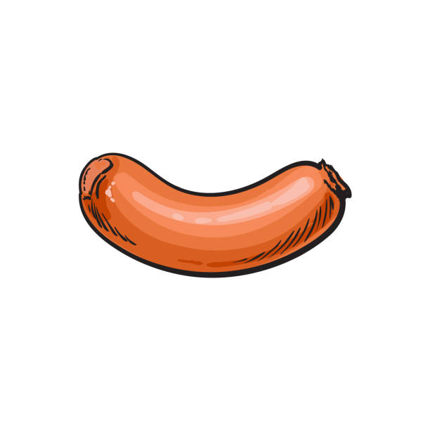 ilustraciones, imágenes clip art, dibujos animados e iconos de stock de ilustración de vector esbozo salchicha aislado - lunch sausage breakfast bratwurst