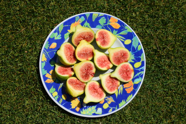 Figs, eat, Spain, plate, ripe