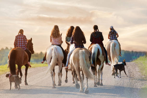 istock Group of young horse riders exercising in a paddock 835342476