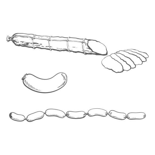 ilustraciones, imágenes clip art, dibujos animados e iconos de stock de vector esbozo salchichas diferentes tipo de aislado - lunch sausage breakfast bratwurst