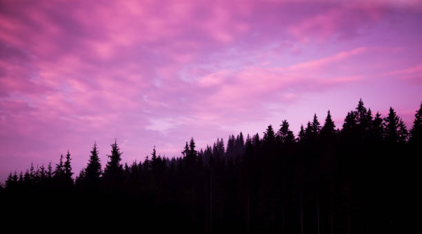 istock A beautiful colorful sunset in Tatra mountains. Decorative look 835350202