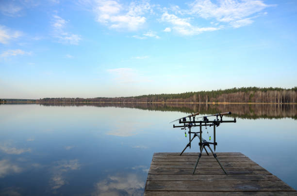 istock Rod pod with feeders with electronic bite alarms on pier 835365448