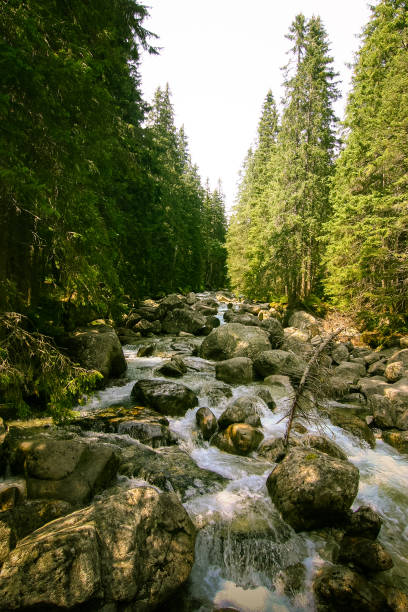 istock A beautiful mountain river landscape in Tatry, Slovakia 835365458