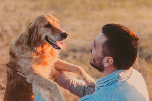 istock Guy and his dog, golden retriever, nature 835375680