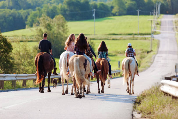 istock Group of young horse riders 835384302