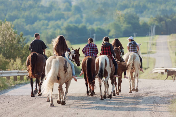 istock Group of young horse riders 835384316
