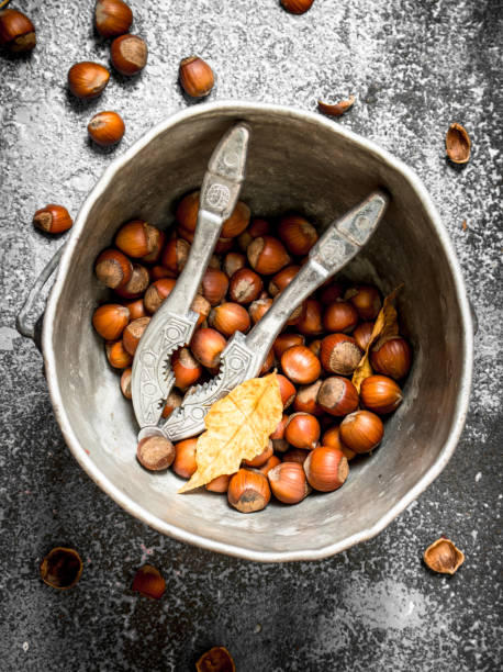 the hazelnuts in an old bucket with a nutcracker. - 7651 imagens e fotografias de stock