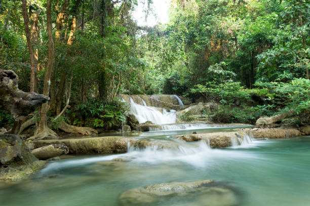 istock Deep forest Waterfall in Kanchanaburi, Thailand 835408144