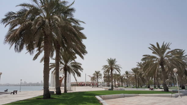 istock The Pure Nature in Pearl Qatar 835410366