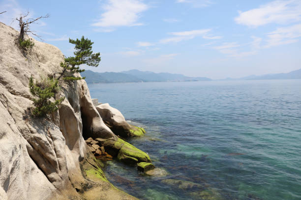 the coast of  Okunoshima at japan
