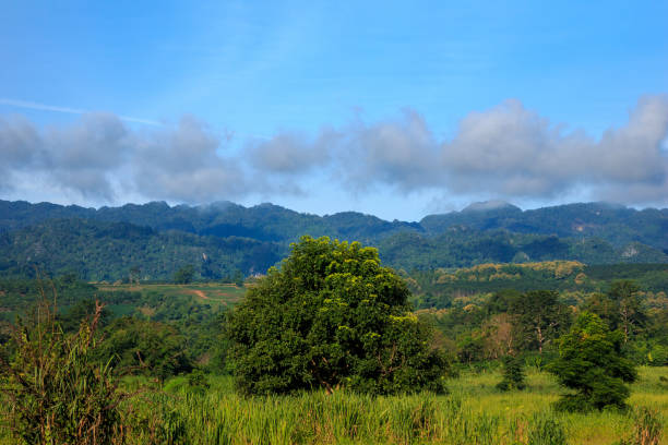 istock Mountains and forests in the morning 835440550