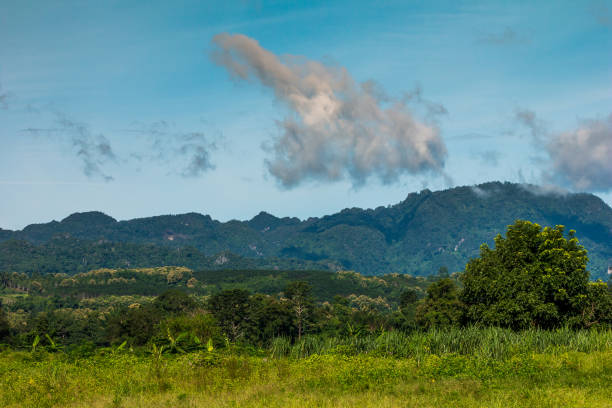 istock Mountains and forests in the morning 835442782