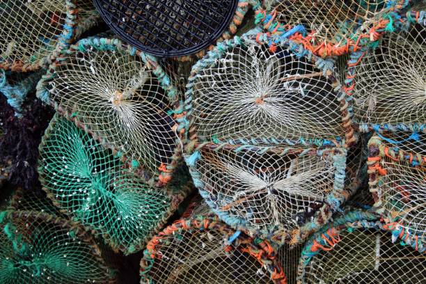 istock Colourful fishing pots 835443078