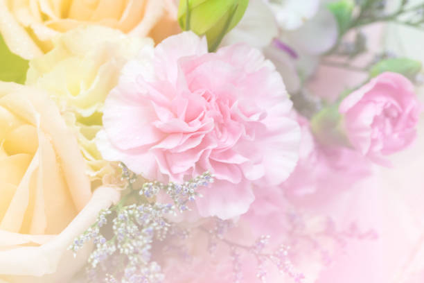 istock Abstract Romantic Pink Roses Flower 835448746