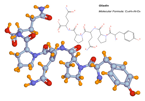 3d illustration of the gliadin molecule. This component of gluten is a protein present in wheat and other cereals. It is the toxic factor associated with celiac disease