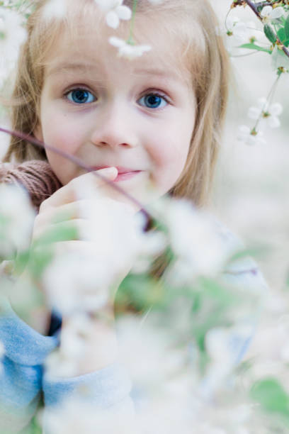 istock A little girl is standing next to a cherry blossom. 835452816