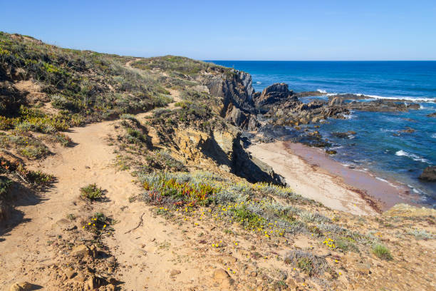 istock Beach with cliffs and vegetation in Almograve 835460396