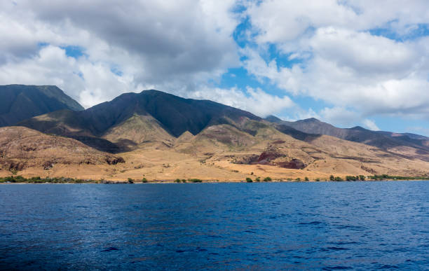istock Maui Hills Landscape 835460900
