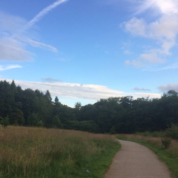 istock Nature woodland 835470730