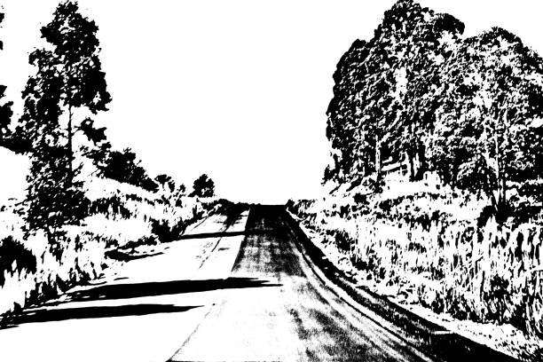 istock Santa Catarina roads 835473008