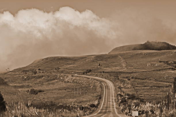 istock Santa Catarina roads 835474960