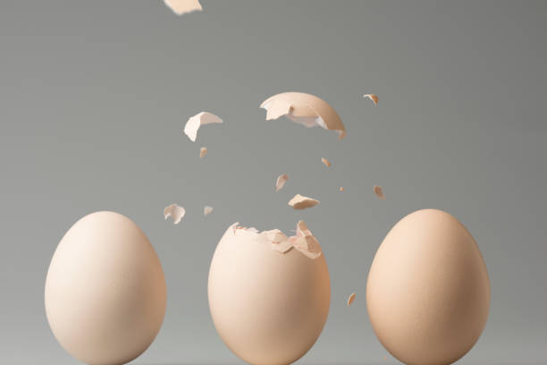 新しい生活 - eggs cracked opening fragile ストックフォトと画像