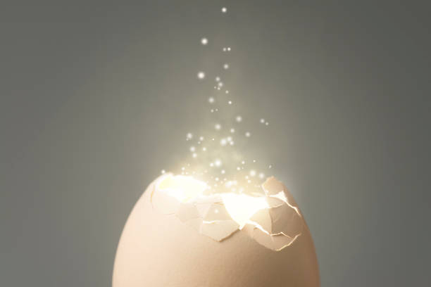 新しい生活 - eggs cracked opening fragile ストックフォトと画像