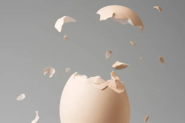 Animal Egg, Breaking, Animal Shell, Flying, Cracked