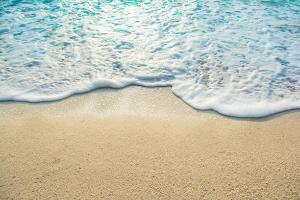 istock beautiful wave of ocean on the beach 835508008