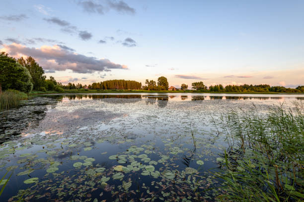 istock colorful clouds over the summer lake 835518154