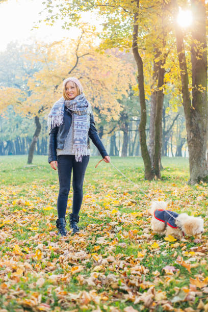 istock Our favorite time of the year 835519634