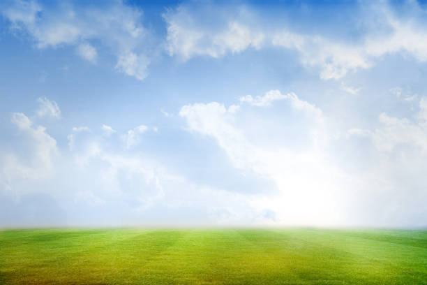 istock Football pitch under blue sky 835519816